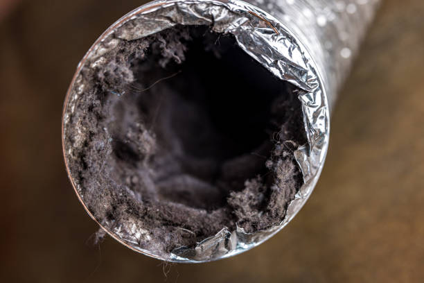 Best Affordable HVAC Duct Cleaning  in West Columbia, SC